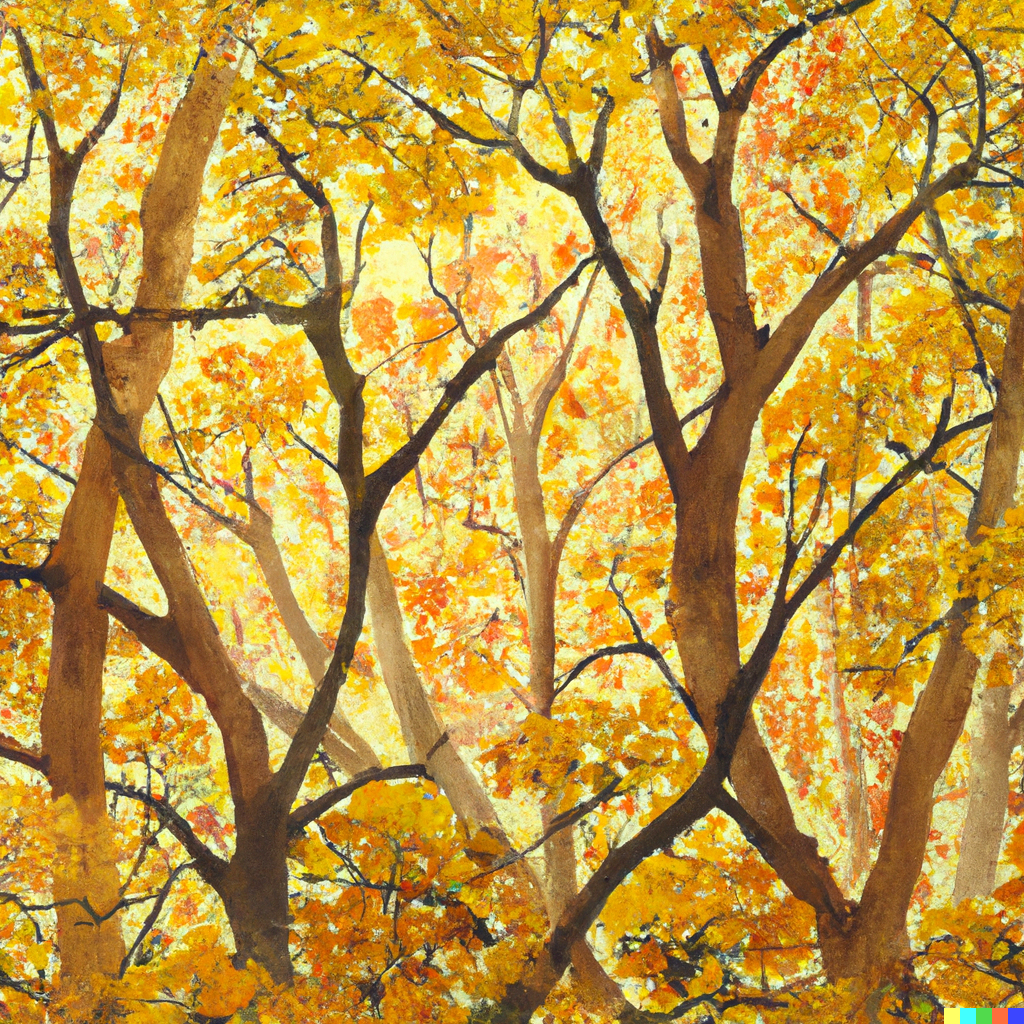 O Bosque dos Ipês&nbsp;Amarelos