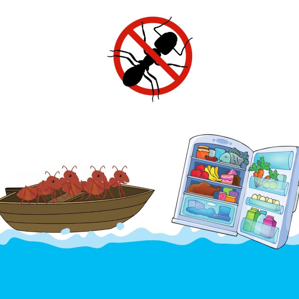 Formigas não sabem nadar