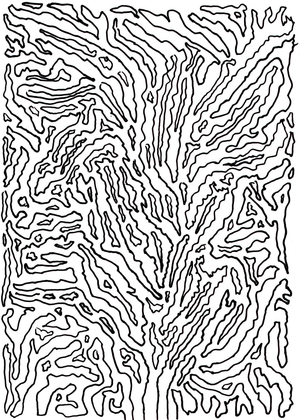 Curso GRATUITO de Escrita e Leitura “Escrevivência: Realidades e Possibilidades”