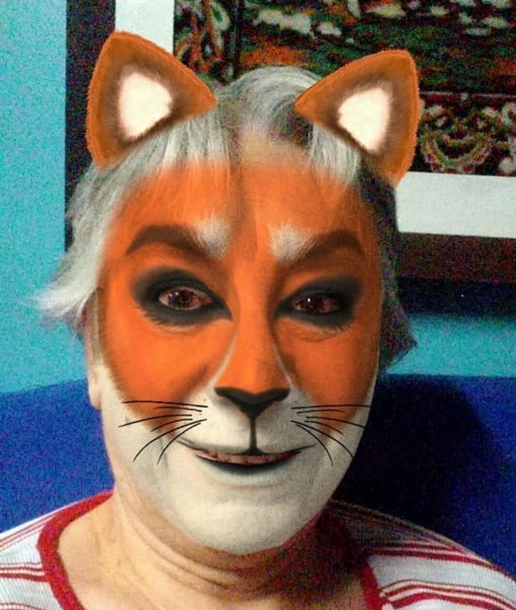 A Vida Felina: Entre Cantinhos e Estrelas