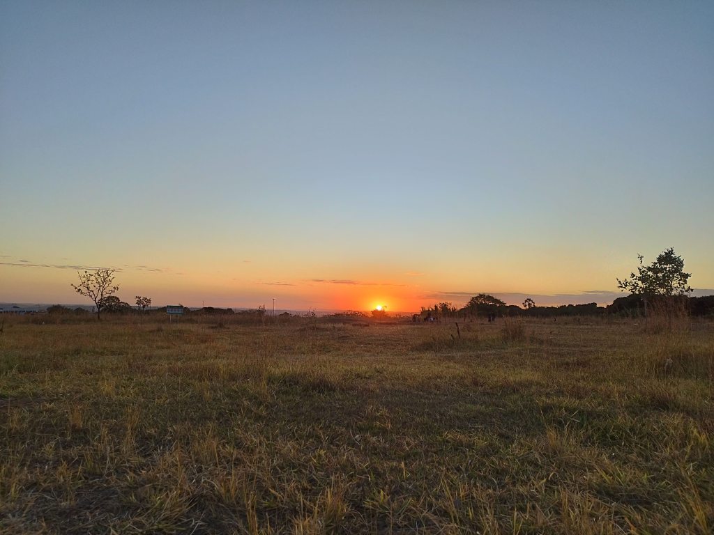 Cartas Rasgadas em Silêncio