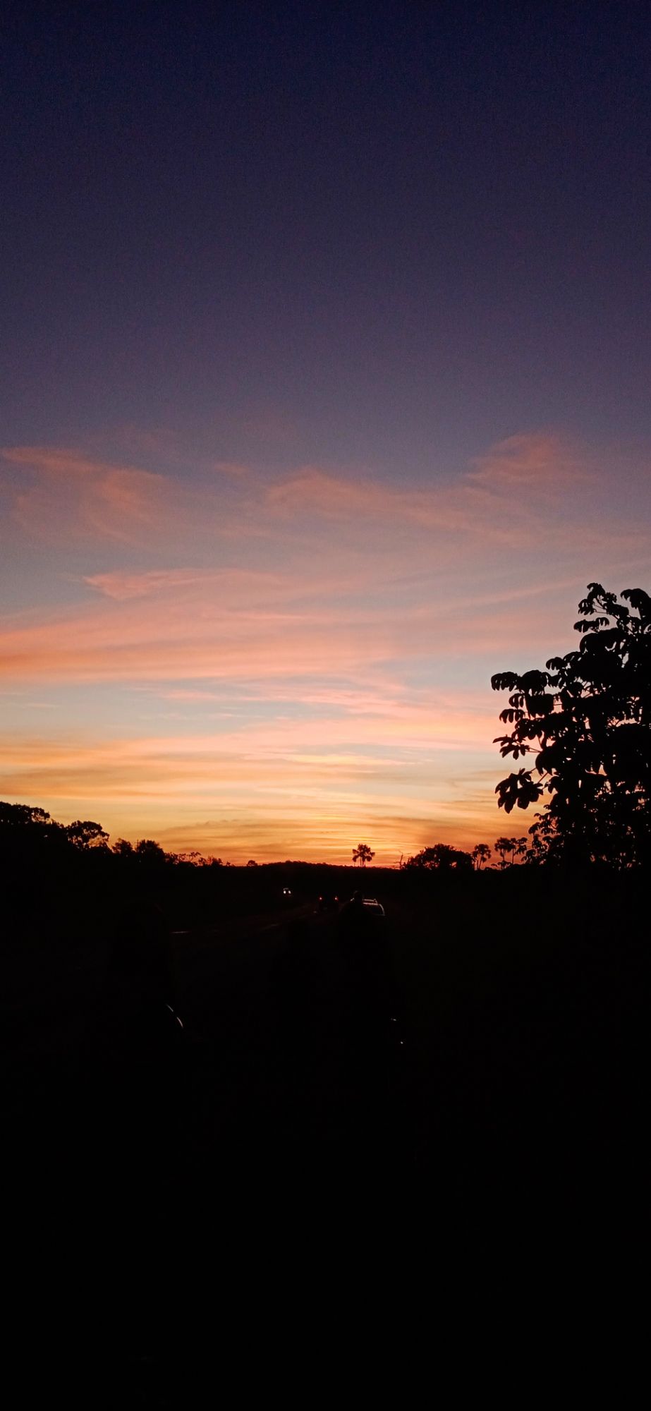 A poesia do&nbsp;instante